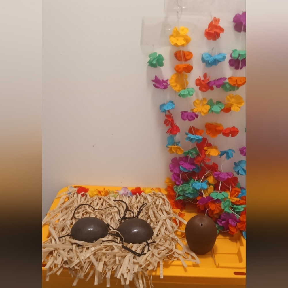 Luau Party Set w/ Grass Skirt, Coconut Bra, Lei, Floral Backdrop, Coconut Drink